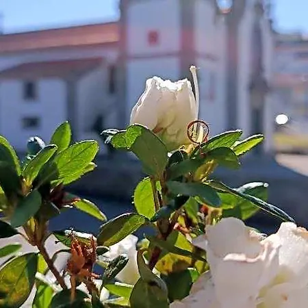 Kwatera prywatna Donna Nega Caminha