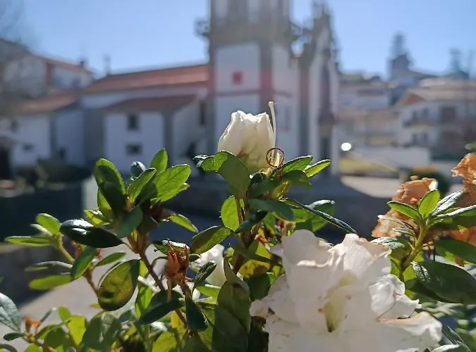Séjour chez l'habitant Donna Nega *